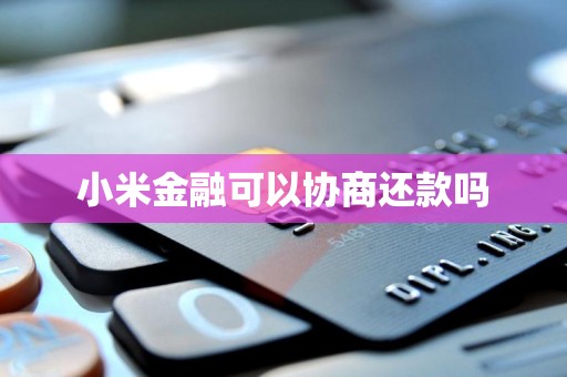 小米金融的還款協(xié)商機(jī)制與金融信息咨詢(xún)服務(wù)解析